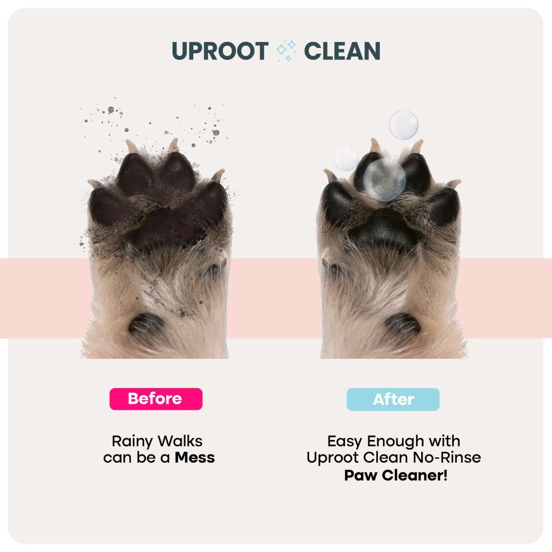Uproot Pet Care Bundle