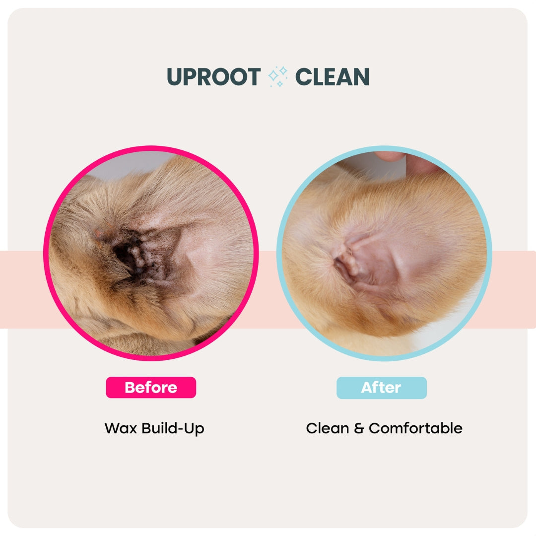 Uproot Pet Care Bundle