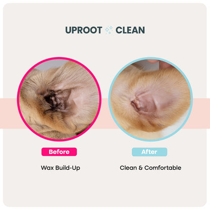 Uproot Pet Care Bundle