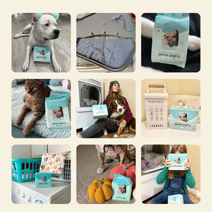 Uproot Dryer Sheets for Pet Owners - Summer Wisteria