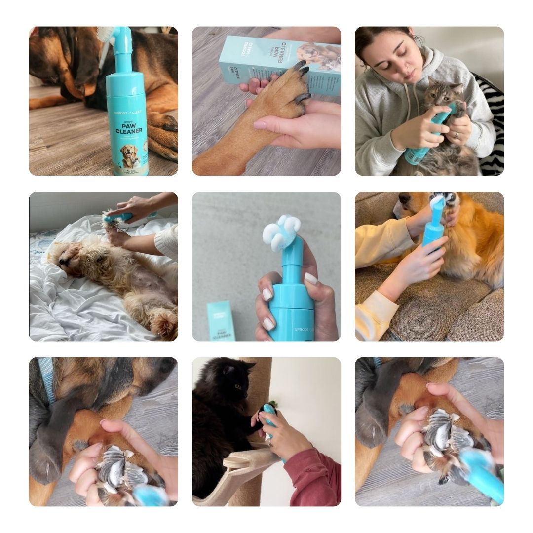 Uproot Paw Cleaner - Rinse-Free Foam Cleanser (150 Uses)