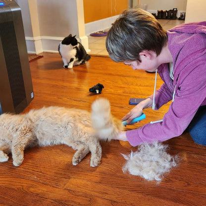 The Ultimate Uproot Clean Bundle - All Cleaners & Deshedder