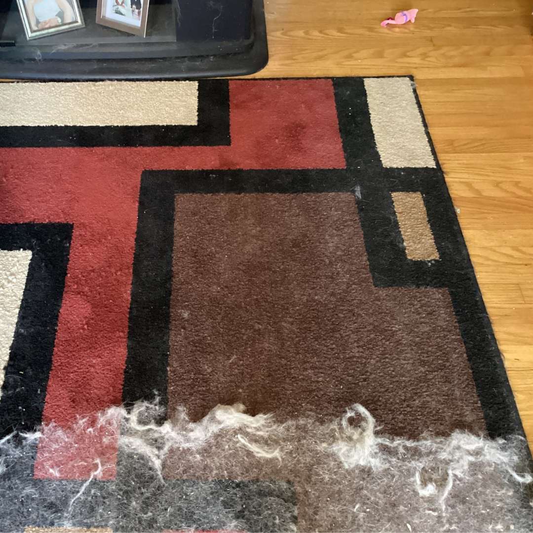 Uproot Pet Hair Survival Kits™